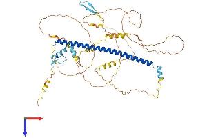 AlphaFold protein structure predicition of Human Recombinant ATF2 Protein, UniprotID P15336