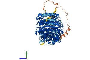 AlphaFold protein structure predicition of Mouse Recombinant Hdac10 Protein, UniprotID Q6P3E7