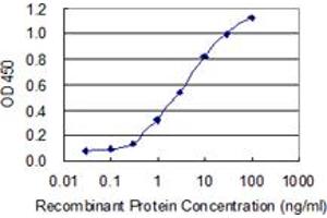 Detection limit for recombinant GST tagged KRT34 is 0.