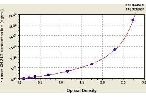 Chitinase 3-Like 2 (CHI3L2) ELISA Kit