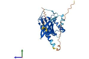 AlphaFold protein structure predicition of Human Recombinant RAB3B Protein, UniprotID P20337