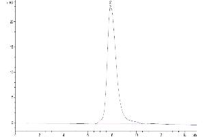 The purity of Biotinylated Human TSLP (R127A, R130A) is greater than 95 % as determined by SEC-HPLC.