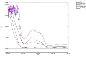 Image no. 1 for 5-Hydroxytryptamine (5-HT) protein (BSA) (ABIN1880100) (Serotonin Protein (BSA))