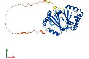 AlphaFold protein structure predicition of Mouse Recombinant Nipsnap1 Protein, UniprotID O55125