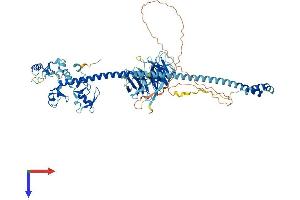 AlphaFold protein structure predicition of Mouse Recombinant Trim56 Protein, UniprotID Q80VI1
