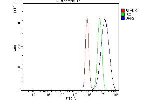 Flow Cytometry analysis of A549 cells using anti-HUPF2/RENT2/UPF2 antibody (ABIN7600567). (RENT2/UPF2 anticorps  (AA 200-651))