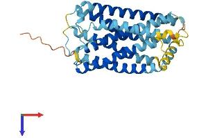 AlphaFold protein structure predicition of Mouse Recombinant Gpr141 Protein, UniprotID Q7TQP0