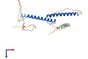 AlphaFold protein structure predicition of Mouse Recombinant Myog Protein, UniprotID P12979