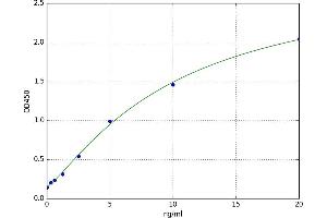 Glutaminase (GLS) ELISA Kit