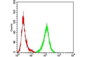 Flow cytometric analysis of Jurkat cells using IL1B mouse mAb (green) and negative control (red).