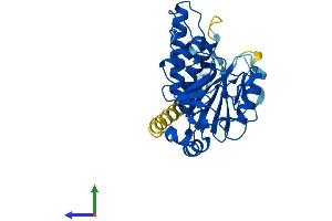 AlphaFold protein structure predicition of Mouse Recombinant Ggta1l1 Protein, UniprotID A2AUQ7