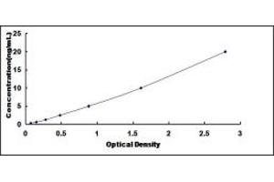Typical standard curve (Kazald1 Kit ELISA)