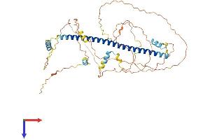 AlphaFold protein structure predicition of Mouse Recombinant Creb3l3 Protein, UniprotID Q91XE9