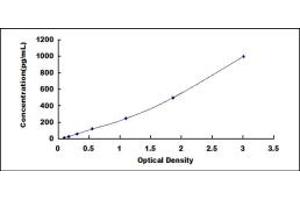 Typical standard curve (VEGF189 Kit ELISA)