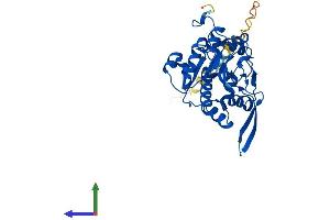 AlphaFold protein structure predicition of Human Recombinant MFNG Protein, UniprotID O00587