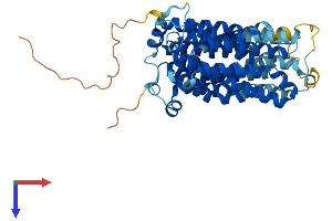 AlphaFold protein structure predicition of Human Recombinant SLC17A5 Protein, UniprotID Q9NRA2