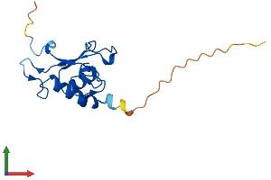 AlphaFold protein structure predicition of Mouse Recombinant Srp19 Protein, UniprotID Q9D7A6