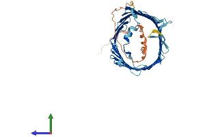 AlphaFold protein structure predicition of Mouse Recombinant Tomm40 Protein, UniprotID Q9QYA2