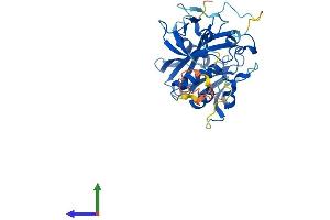 AlphaFold protein structure predicition of Human Recombinant NUDT17 Protein, UniprotID P0C025