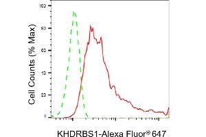 Flow cytometric analysis of KHDRBS1 expression in HeLa cells using KHDRBS1 antibody (ABIN7799193), 1:2,000).