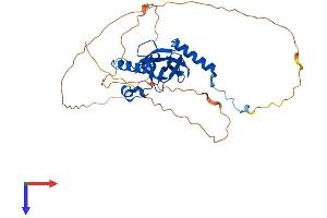 AlphaFold protein structure predicition of Mouse Recombinant Kmt5a Protein, UniprotID Q2YDW7