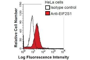 HeLa cells were fixed in 2% paraformaldehyde/PBS and then permeabilized in 90% methanol. (EIF2S1 anticorps)