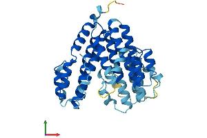 AlphaFold protein structure predicition of Human Recombinant ATP6V0D1 Protein, UniprotID P61421