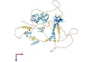 AlphaFold protein structure predicition of Human Recombinant RBM5 Protein, UniprotID P52756