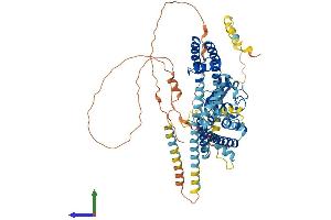AlphaFold protein structure predicition of Human Recombinant KCND1 Protein, UniprotID Q9NSA2