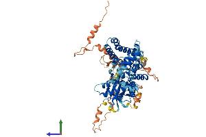 AlphaFold protein structure predicition of Mouse Recombinant Adck2 Protein, UniprotID Q6NSR3