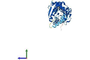 AlphaFold protein structure predicition of Human Recombinant NSDHL Protein, UniprotID Q15738