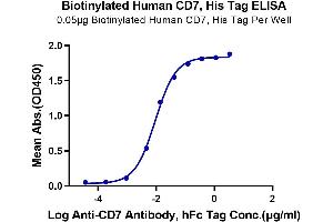 Immobilized Biotinylated Human CD7, His Tag at 0.