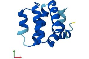 AlphaFold protein structure predicition of Human Recombinant CARD18 Protein, UniprotID P57730