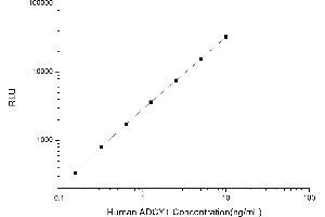 Typical standard curve (ADCY1 Kit CLIA)