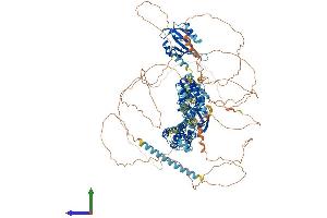 AlphaFold protein structure predicition of Mouse Recombinant Kcnh2 Protein, UniprotID O35219