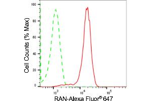 Flow cytometric analysis of RAN expression in H9c2 cells using RAN antibody (ABIN7800129), 1:2,000).
