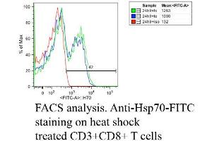 Fluorescence Activated Cell Sorting analysis using Mouse Anti-Hsp70: FITC Monoclonal Antibody, Clone C92 .