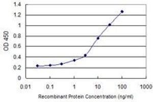Detection limit for recombinant GST tagged C9orf96 is 0. (C9orf96 anticorps  (AA 1-99))