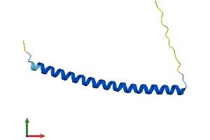 AlphaFold protein structure predicition of Human Recombinant HSBP1 Protein, UniprotID O75506