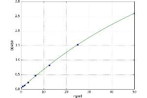 Mannan-Binding Lectin serine Peptidase 2 (MASP2) ELISA Kit