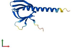 AlphaFold protein structure predicition of Human Recombinant PHLDA3 Protein, UniprotID Q9Y5J5