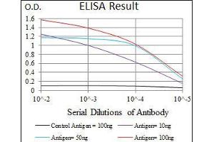 Black line: Control Antigen (100 ng), Purple line: Antigen(10 ng), Blue line: Antigen (50 ng), Red line: Antigen (100 ng),
