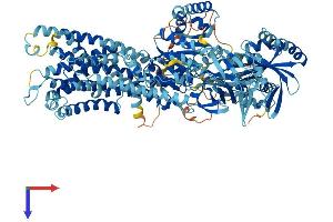 AlphaFold protein structure predicition of Mouse Recombinant Atp8a2 Protein, UniprotID P98200