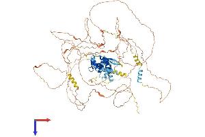 AlphaFold protein structure predicition of Human Recombinant E2F7 Protein, UniprotID Q96AV8