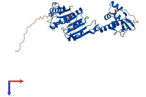 AlphaFold protein structure predicition of Human Recombinant HENMT1 Protein, UniprotID Q5T8I9