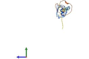 AlphaFold protein structure predicition of Mouse Recombinant Lsm4 Protein, UniprotID Q9QXA5