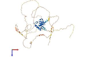 AlphaFold protein structure predicition of Mouse Recombinant Etv4 Protein, UniprotID P28322