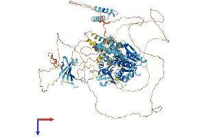 AlphaFold protein structure predicition of Human Recombinant TTF2 Protein, UniprotID Q9UNY4