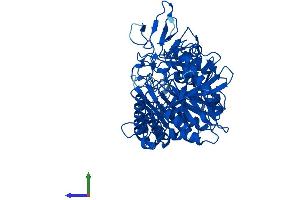 AlphaFold protein structure predicition of Human Recombinant PCK1 Protein, UniprotID P35558