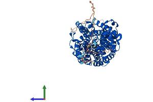 AlphaFold protein structure predicition of Mouse Recombinant Slc6a4 Protein, UniprotID Q60857